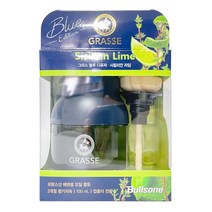 그라스 디퓨저 블루 100ml 차량용 방향제, 1개, 블루시칠리안라임