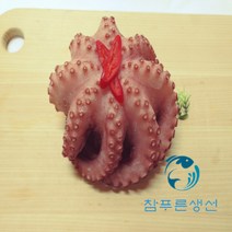 손질된 자숙 자색문어 돌문어 제사용 제수용 반찬용 생일상 800g~1kg내외, 자색문어 500g~600g