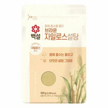 CJ 과일청 감미료 백설 브라운 자일로스 설탕 500G, 1개