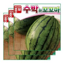 (아시아종묘/수박씨앗종자) 뉴꼬꼬마수박 (10립x3)