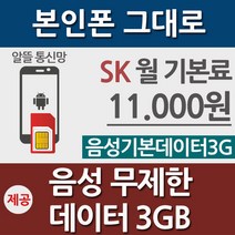 알뜰요금제/ 알뜰폰 유심/ 후불 요금제/ SK 칩