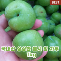 국내산 국산 영천 첼시 청 자두 1kg 탱 자두 켈시 캘시 챌시 생 햇 연두 퍼런 자두 에이드 매실 주스 시럽 이색 프리미엄 과일, 1개