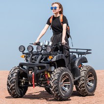 4륜오토바이 4륜오프로드 산악 ATV 4 륜 구동 ATV 4 륜 오프로드 빅 불 가솔린, 버팔로 세트1