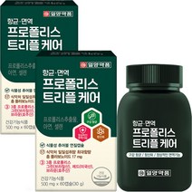 그린 프로폴리스 머빈스 츄어블 브라질 면역력 항산화 항균 구강 60캡슐, 2개