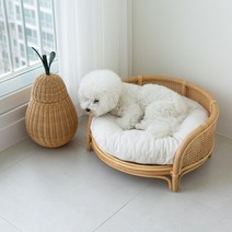 케인 라탄 원형 애견침대 (방석포함, 단품