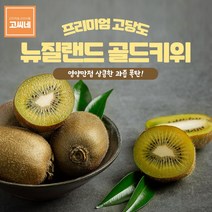 고씨네 특급 골드키위2kg 키위 레드키위 참다래 다래, 단품