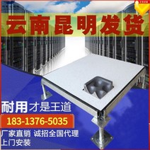 악세스플로어 ACCESSFLOOR 컴퓨터 실 이중 바닥 모든 강철 정전기 방지 실험실 모니터링 룸, 세라믹 국가 표준 작은 난초 ㎡