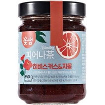 꽃샘 피어나다 히비스커스&자몽 액상차 350g, 1개