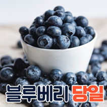 특등품 미국산 칠레산 생 블루베리 생과 3팩 6팩 12팩, 생 블루베리 12팩