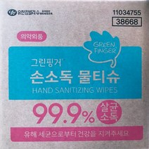 New 그린핑거 손소독 물티슈 20매x10개입, 1
