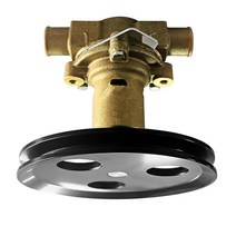 Raw Sea Water Impeller Pump RA057007 18830-0010 Compatible With Sherwood Pleasurecraft Jabsco G20 G2