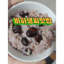 완도산 비파생씨앗 1KG 밥에넣어드시면좋은 비파씨앗