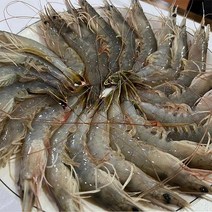 도담 국내산 자연산 대하1kg(28미내외), 단품