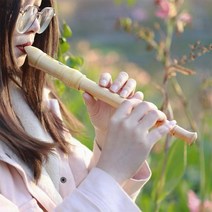에어로폰 리드 색소폰 셀마 8 홀 포켓 미니 휴대용 작은 액세서리 가방 목 관악기 휴대 p j7k7, 하얀