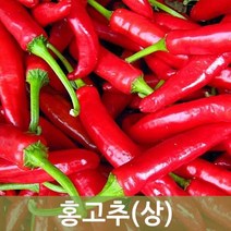 국산 홍고추 1박스1kg 5kg 10kg 건고추용 물고추 빨간홍고추, 홍고추 5kg