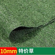 거실 먼지없는 미니 대형 사계절 잔디 고양이 러그 카페트, 1cm 특수 잔디
