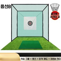 가정용스크린골프 스윙연습기 골프 분석기 실내 교정기 훈련, B