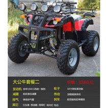 농업 사륜 오토바이 사발이 바이크 125cc 레저 해변, 빅불 패키지 2