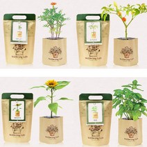 집에서키우는식물 종이봉투화분 바질 메리골드 세트, 허브바질