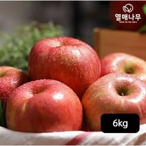 거창사과 거창 홍로사과 3kg+3kg, 단일옵션