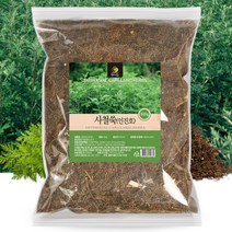 사철쑥 국내산 사철쑥 인진호 500g 쑥차