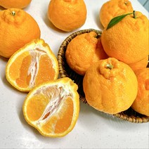 프룻다이브 새콤 달콤 명품 제주 한라봉 가정용 3kg 5kg, 대과 3kg(10과 내외)