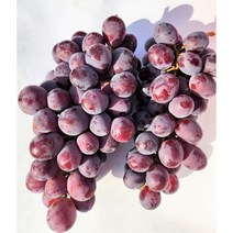 고당도 캔디하트 씨없는 먹기편한 포도 프리미엄 20 Brix이상, 800g x 6 팩, 6개