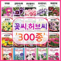 꽃씨 꽃씨몰 300종 허브씨 씨앗 다년생 노지월동 야생화 꽃씨앗 봄 제라늄 다알리아 작약, 153. 접시꽃 30립