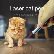 반려 동물 휴대용 애완동물 기타 훈련용품 laser pointer laser pen cat dog toy 인터랙티브 장난감 고양이 쫓는 고양이 용품 애완 장난감 led 교육