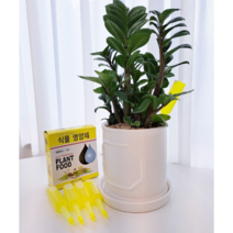 10p 식물영양제 화초영양제 수목영양제 난영양제 비료 화분영양제 화초식물 모든식물용 앰플 앰플영양제 토양활력제 액체영양제, 10개