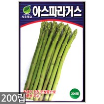 산마늘 씨앗 50립 - 산마늘씨앗 산나물씨 명이나물씨앗 명이나물씨 명이나물 마늘 쌈채소 나물씨앗, 07_아스파라거스(200립)