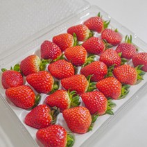 당일출하 산지직송 프리미엄 설향 생딸기 선물 GAP 인증 1.5kg 750g, 1개