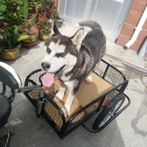 자전거 바이크 오토바이 여행 애견 짐받이 수레 트레일러 화물, 자전거 트레일러