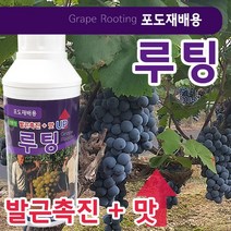 [조이가든] 루팅-포도재배용 500ml