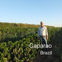 [위트러스트] 브라질 카파라오 200g Brazil 스페셜티 커피 Caparao, 홀빈