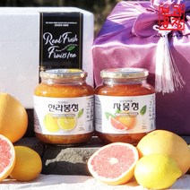[ 2023년 설 선물 ] [ 과일청 수제청 선물세트 ] 자몽청950g +제주 한라봉청950g, 1세트
