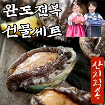 산지직송 완도 전복 특대 제철 생물 활전복 선물용 선물세트 직거래 설 추석 명절 선물 1kg 꼬마 산소포장, 05.전복 13미(대) 1kg