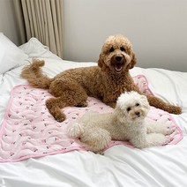 유앤펫 강아지 고양이 여름 냉감 쿨방석(패드타입L), 바나나