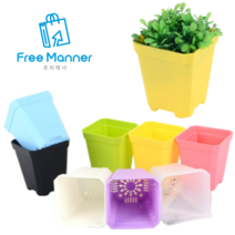 [FreeManner] 플라스틱 미니 사각 화분 10P 다육이 허브 반려식물, 흰색