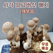 표고버섯재배