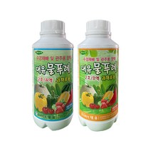 태민농자재 대유 물푸레 1호 2호 AB액 세트 수경재배 양액 토마토 딸기 배추 영양제, 물푸레 2호 AB세트(과채류), 1개
