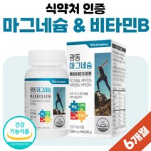 B군 50대 60대 40대 수용성 비 타민 정 마그네슘 비타민B 3종 영양제 컴플렉스 프리미엄 식약처 인증 건강 기능 식품 약 3개월분 여자 비타민 B1 B2 B6 비군 비타민비, 90정 x 2개 (6개월분), 2개