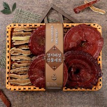 명절 후 배송가재골송순영 생산자의 영지버섯 선물세트 1kg -인증