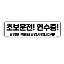 자동차 운전 연수 스티커 야간 반사 자국 안남는 타입, 선택:06번 (검+노), 단품