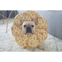 쿠션넥카라 강아지넥카라 애견 방수 고양이