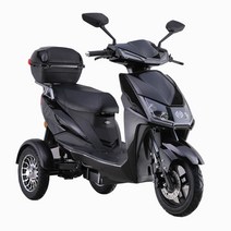 삼륜 오토바이 성인용 바이크 출퇴근용 3륜, 04. 60v 22A 1200w 모터