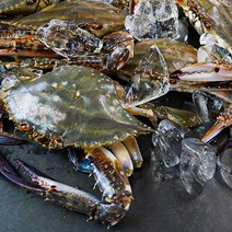 산지직송 100% 국내산 찜탕용 급속냉동 가을 암꽃게 2kg 3kg, 냉동암꽃게 탕용 찜용 2kg