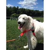 일본직발송 4. Walk Your Dog with Love 논 초킹 잡아당기기 개 하네스 정면으로 개를 이끈다.스포츠에