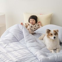 아이들과 함께쓰는 진드기 걱정없는 솜이불 투툼한솜