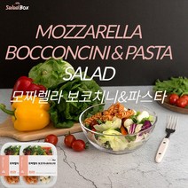 샐러드박스 모짜렐라보코치니&파스타(1팩당 225g)x2팩, 샐러드박스 보코치니&파스타(1팩당 225g)x2팩